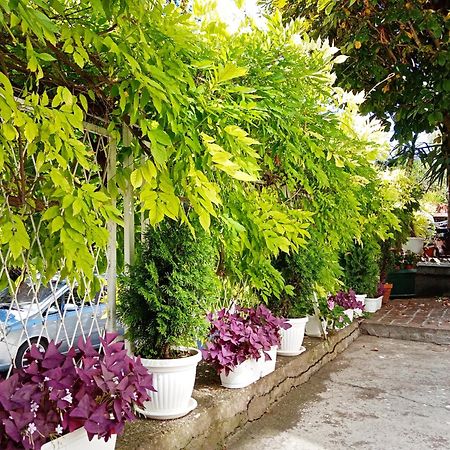 Belgrade Apartment Happy Garden Zewnętrze zdjęcie