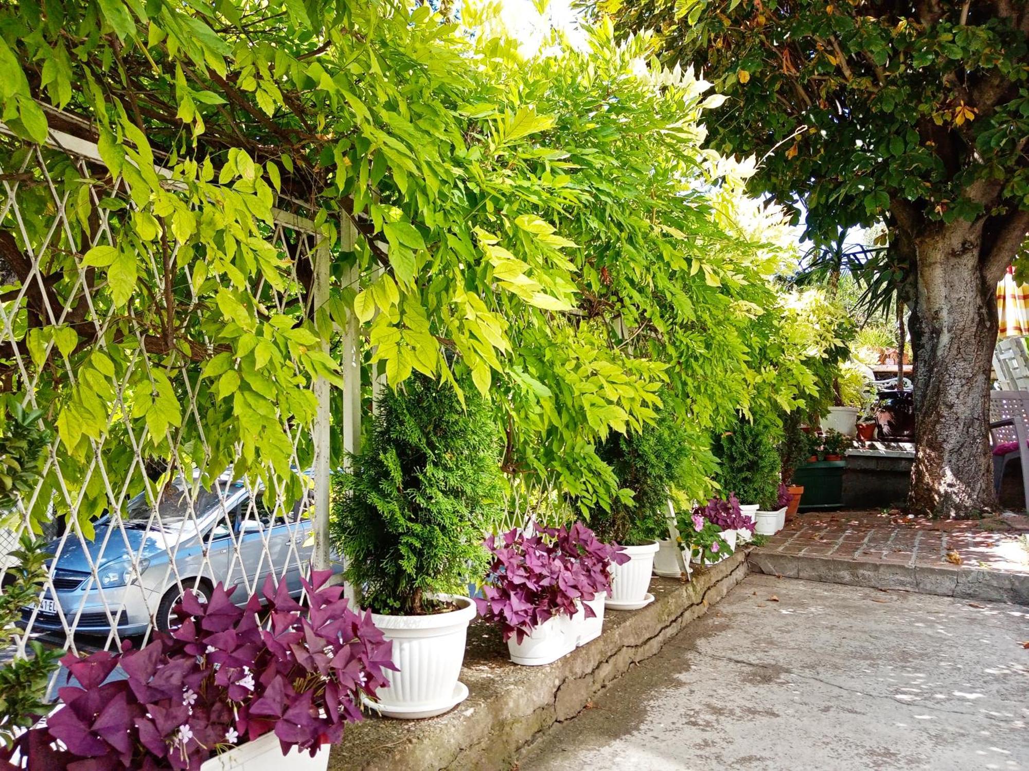 Belgrade Apartment Happy Garden Zewnętrze zdjęcie