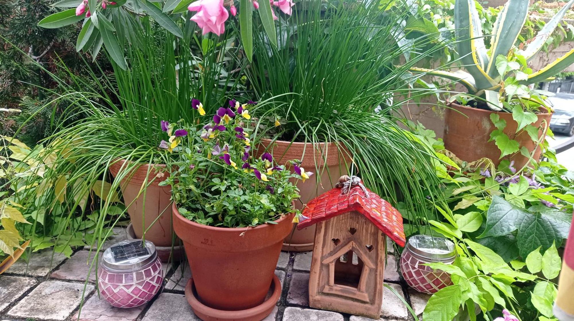 Belgrade Apartment Happy Garden Zewnętrze zdjęcie