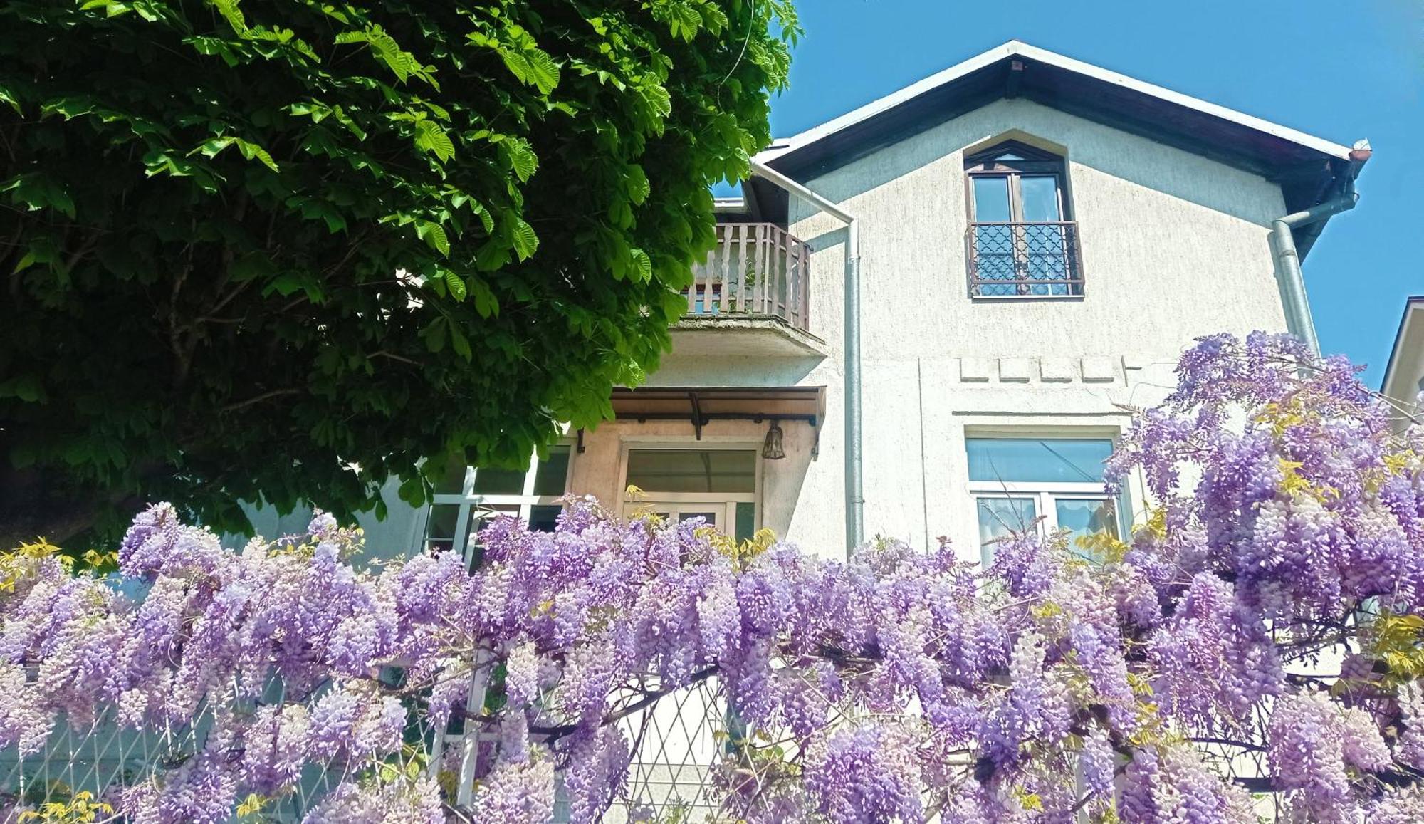 Belgrade Apartment Happy Garden Zewnętrze zdjęcie