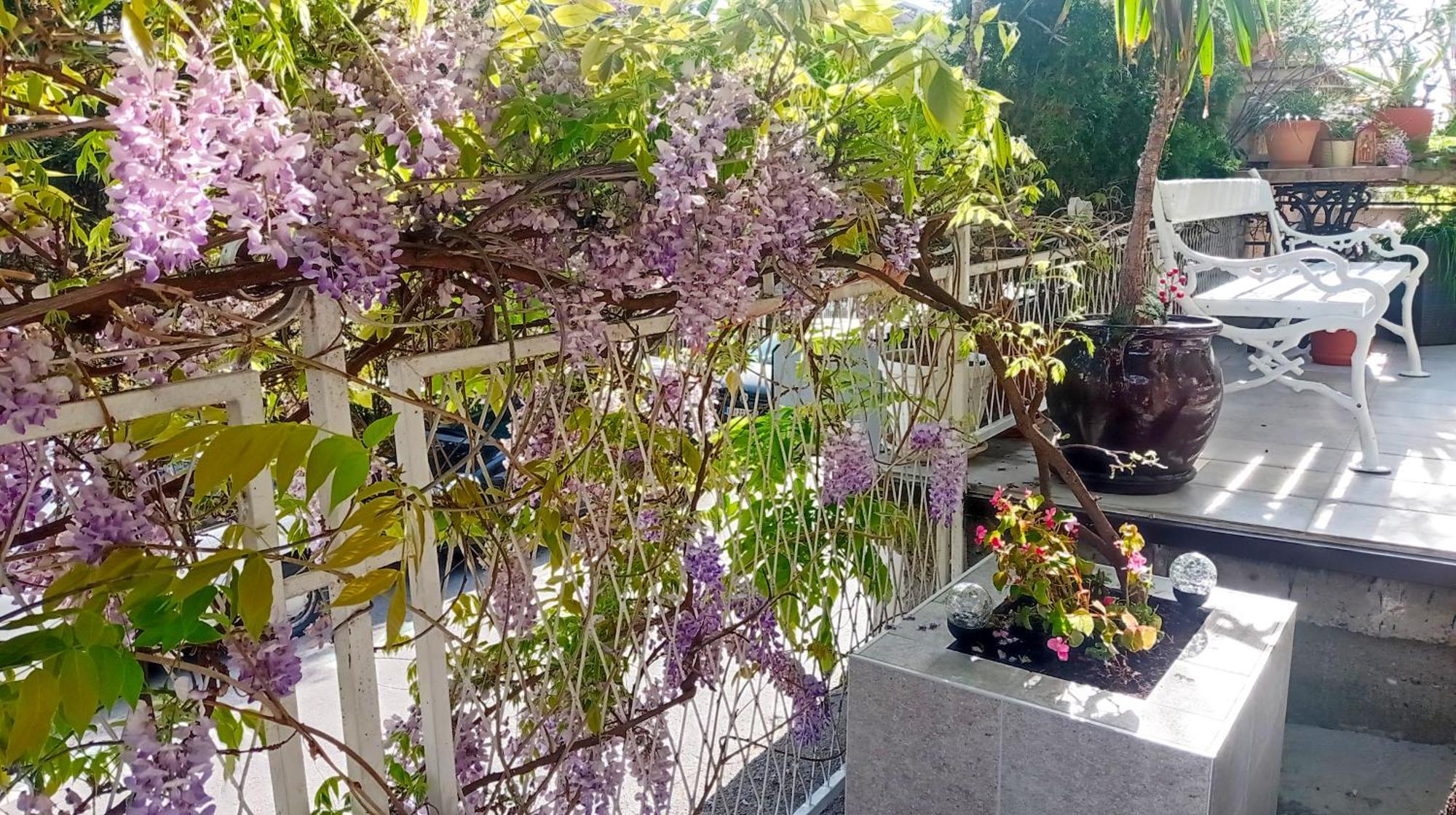 Belgrade Apartment Happy Garden Zewnętrze zdjęcie